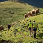 Municipios del Norte de Gran Canaria