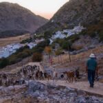 Villaluenga del Rosario