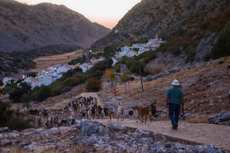 Villaluenga del Rosario