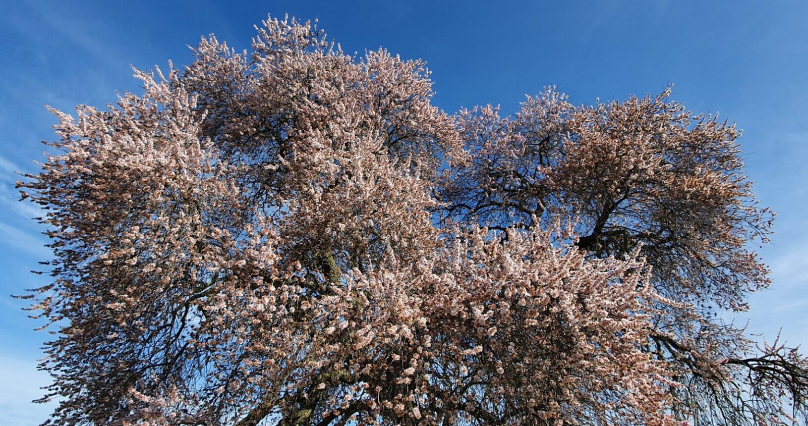 Valverde de Leganés